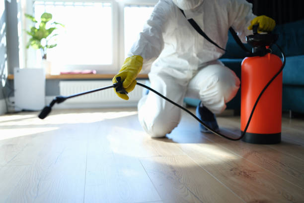 Reliable Crime Scene Cleanup contractor in Fellows, CA by Trauma Clean Pros